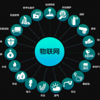 物联网前期低谷泡沫与后续数字化崛起支点